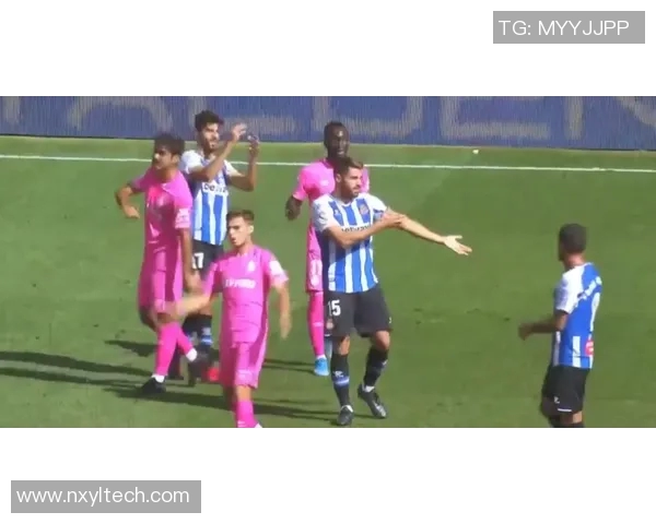 上海排球队逆袭之路的真实记录与奋斗精神展现