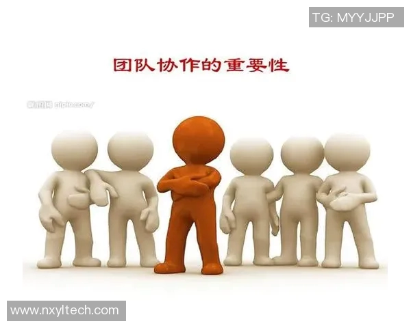 武汉篮球队的意识提升与团队协作探讨聚焦篮球发展的新视角