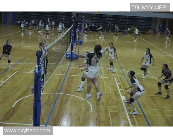 深圳排球队战术揭秘:排球巨献背后的团队智慧与竞技魅力 深圳排球队战术揭秘:排球巨献背后的团队智慧与竞技魅力