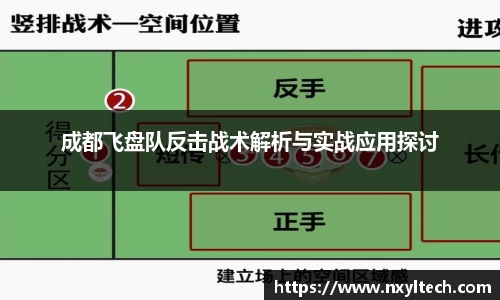 成都飞盘队反击战术解析与实战应用探讨